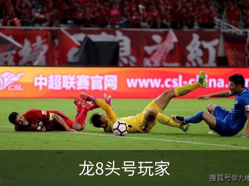 龙8头号玩家简介